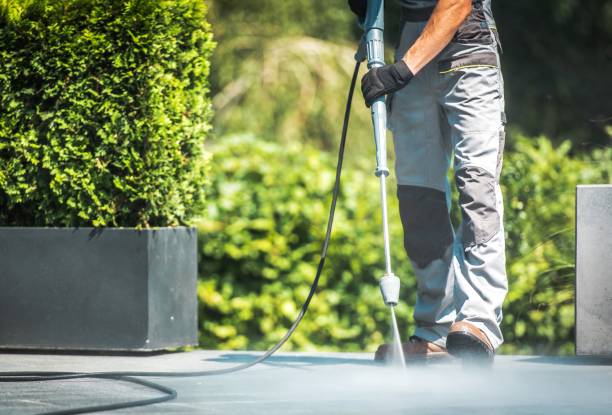 Solar Panel Cleaning in Evadale, TX